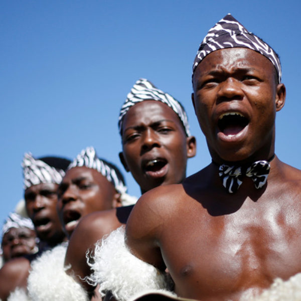 Interview: Louise Meintjes