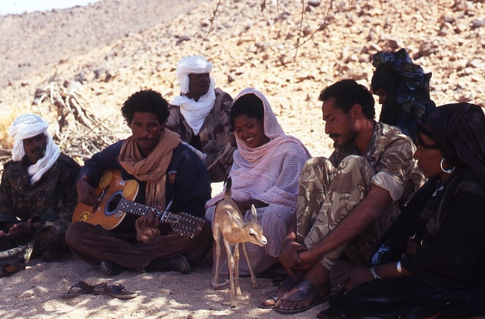 All photos by Phillipe Baqué, used with permission.